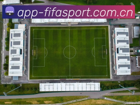 FIFA 官方数据授权认证